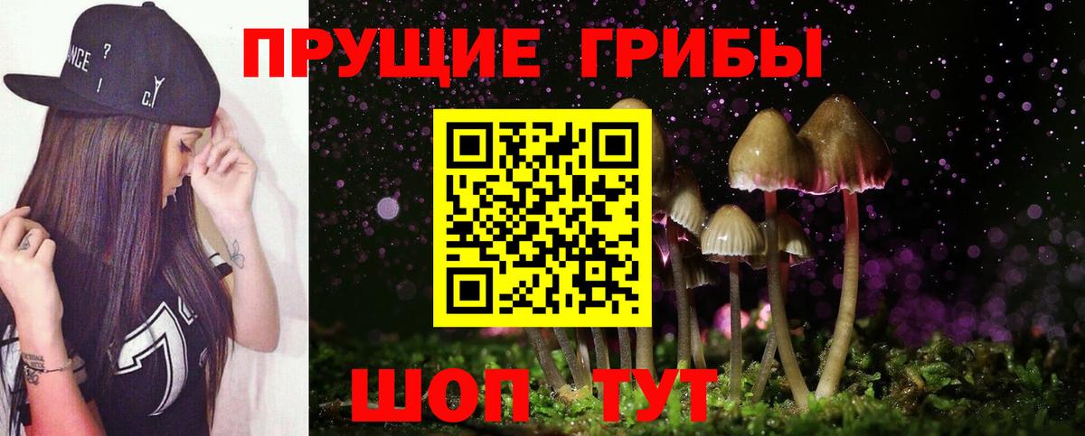 Псилоцибиновые грибы Psilocybine cubensis Бахчисарай